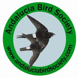 andalucia bird society